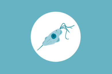 Como Aliviar Os Sintomas E Curar A Tricomoniase